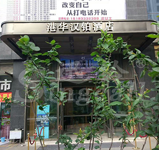 港汉花铂酒店